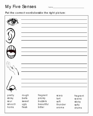 Language Of Science Worksheet Beautiful English Worksheets for Kids Part 2 Worksheet Mogenk
