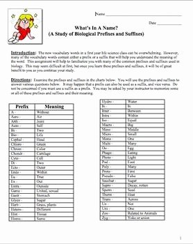 Language Of Science Worksheet Lovely Biology Prefixes and Suffixes Master the Science