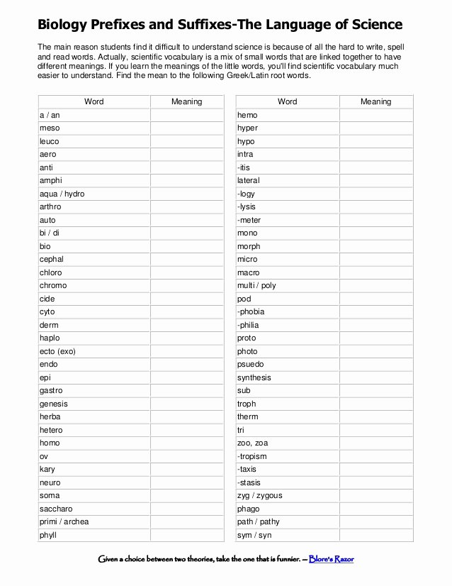 Language Of Science Worksheet Lovely Biology Prefixes and Suffixes