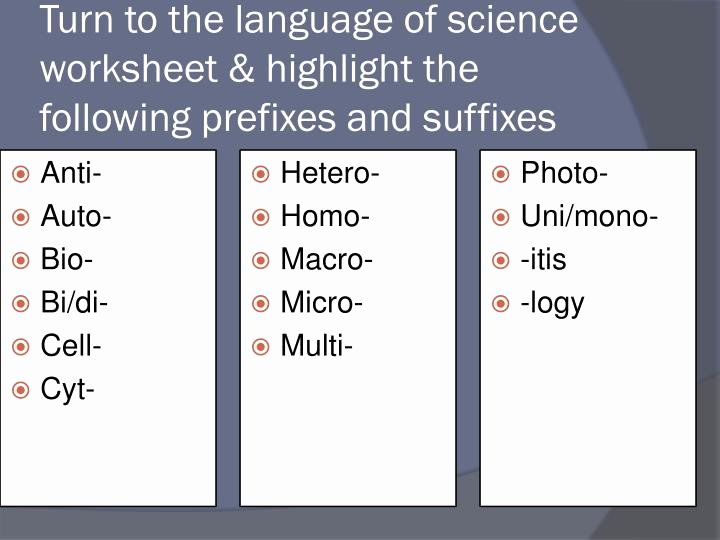 Language Of Science Worksheet New the Language Science Worksheet