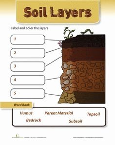 Layers Of soil Worksheet Beautiful Layers Of soil Science