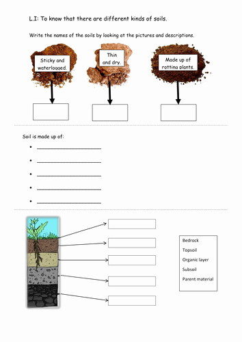 49 Layers Of Soil Worksheet