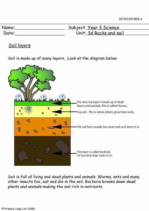 Layers Of soil Worksheet Fresh Primaryleap soil Layers Worksheet