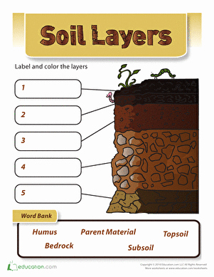 Layers Of soil Worksheet Fresh soil Layers School