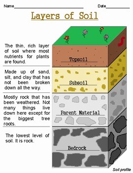Layers Of soil Worksheet Inspirational Layers Of soil Worksheets by Growing Roots and Building