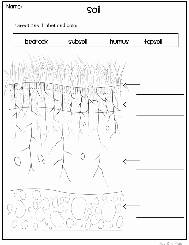 Layers Of soil Worksheet Inspirational soil