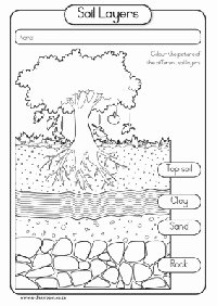 Layers Of soil Worksheet Unique 14 Best Of Elementary Puter Worksheets