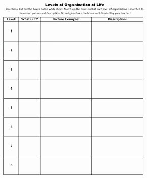 Level Of organization Worksheet Awesome Levels Of Biological organization Cut and Paste Activity
