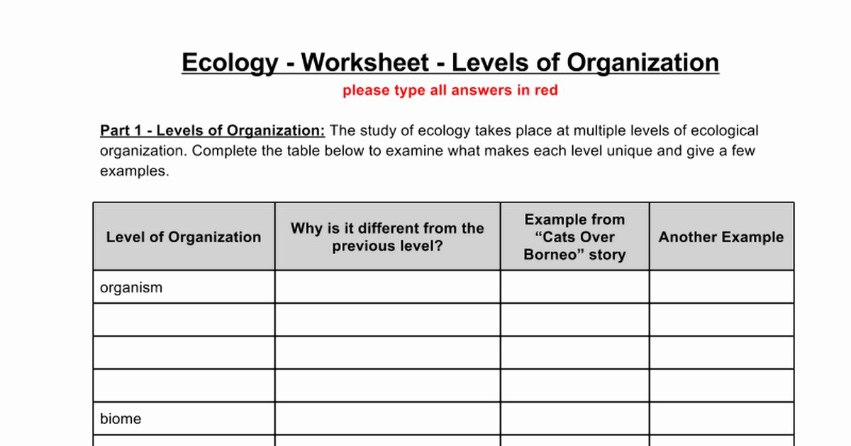 Level Of organization Worksheet Beautiful Levels organization Worksheet