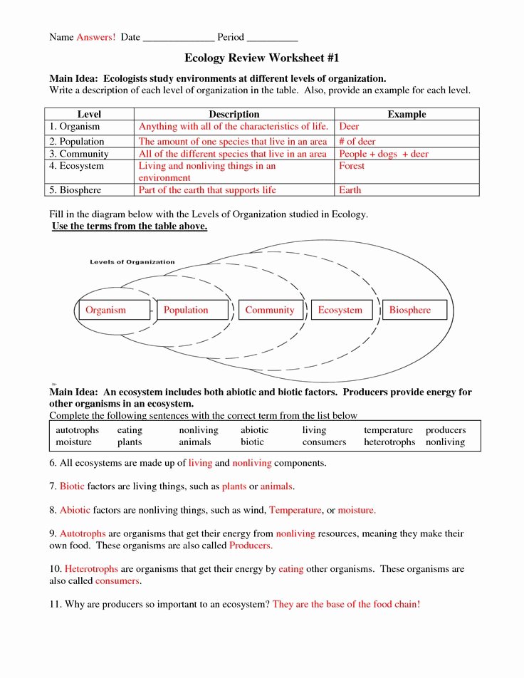 Level Of organization Worksheet Elegant Six Levels Of Ecology