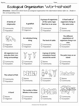 Level Of organization Worksheet Unique Ecological organization Worksheet for Review or assessment