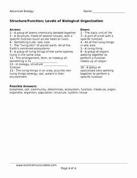 Levels Of Biological organization Worksheet Luxury Structure and Function Levels Of Biological organization