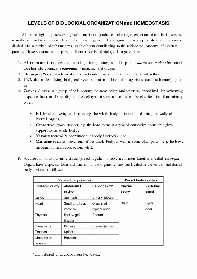 Levels Of Biological organization Worksheet New Biological Hierarchy and Homeostasis