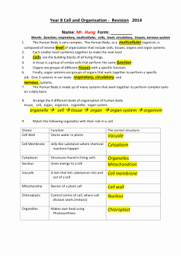Levels Of organization Worksheet Awesome Levels Of organization Content Practice A B with