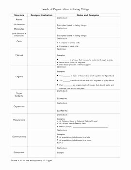 Levels Of organization Worksheet Awesome Levels Of organization In Living Things by Dee