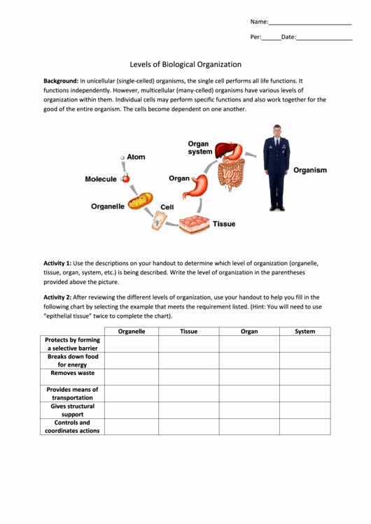 Levels Of organization Worksheet Best Of Levels Biological organization Biology Worksheets