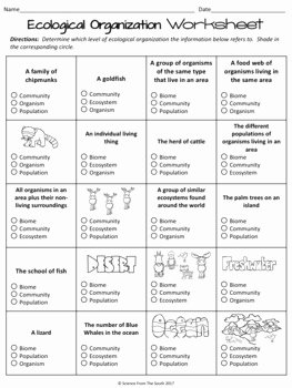 Levels Of organization Worksheet Lovely Ecological organization Worksheet for Review or assessment