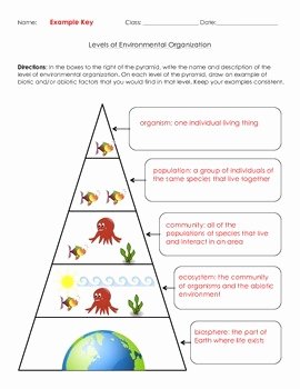 Levels Of organization Worksheet Lovely Life Science Levels Of Environmental organization