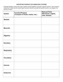 Levels Of organization Worksheet New Study Guide Levels Of organization and Human Body Systems