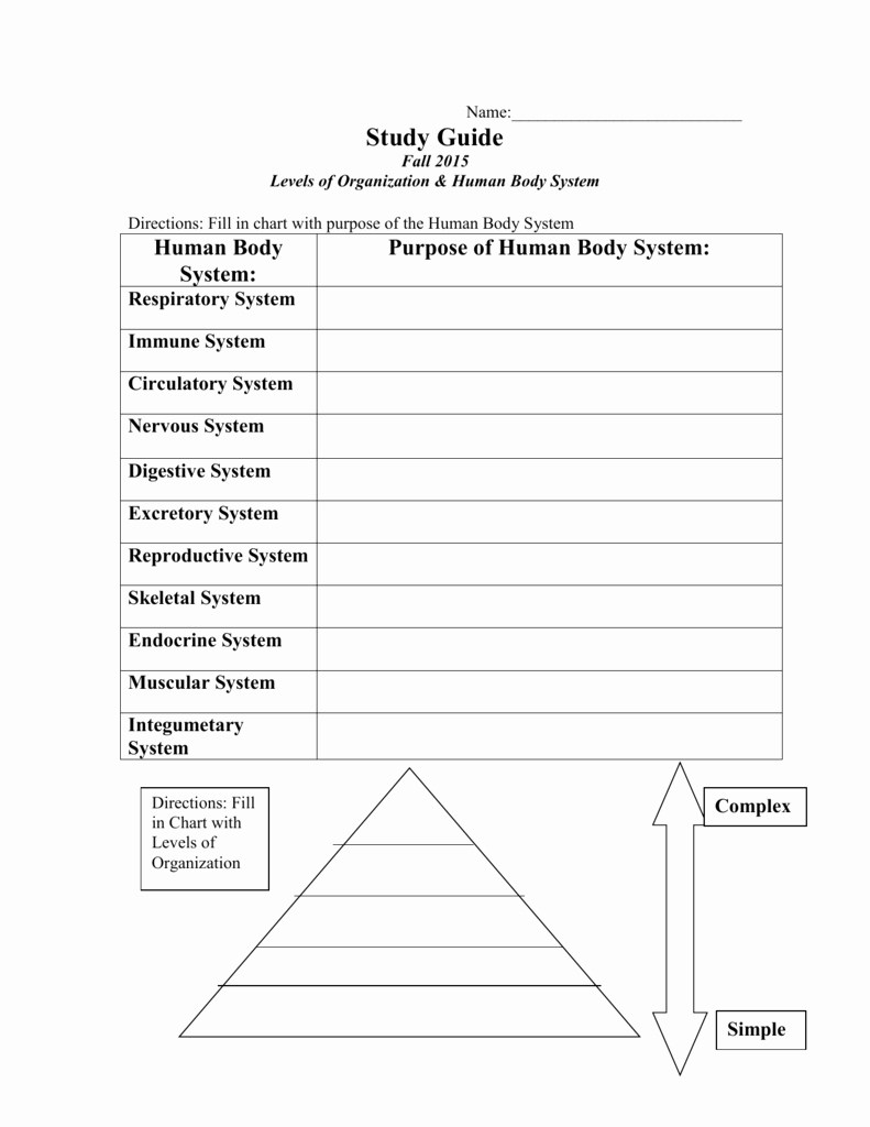 Levels Of organization Worksheet New Worksheets Levels organization Biology Worksheet