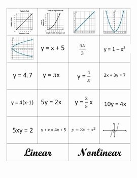 Linear and Nonlinear Functions Worksheet Lovely Linear and Nonlinear by Middle School Math Aplenty