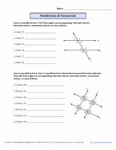 Lines and Angles Worksheet Unique Angle Worksheet Parallel Lines and Transversals