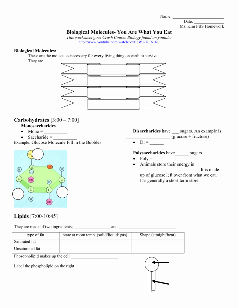 Lipids Worksheets