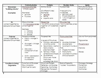 Lipids Worksheet Answer Key Best Of Macromolecules Review Chart with Answers by Warbler
