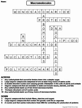 Lipids Worksheet Answer Key Elegant Macromolecules Worksheet Crossword Puzzle by Science Spot
