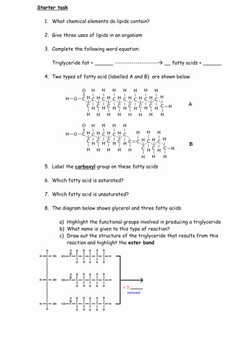 Lipids Worksheet Answer Key Luxury Lipids and Triglyceride Fats by Cmrcarr