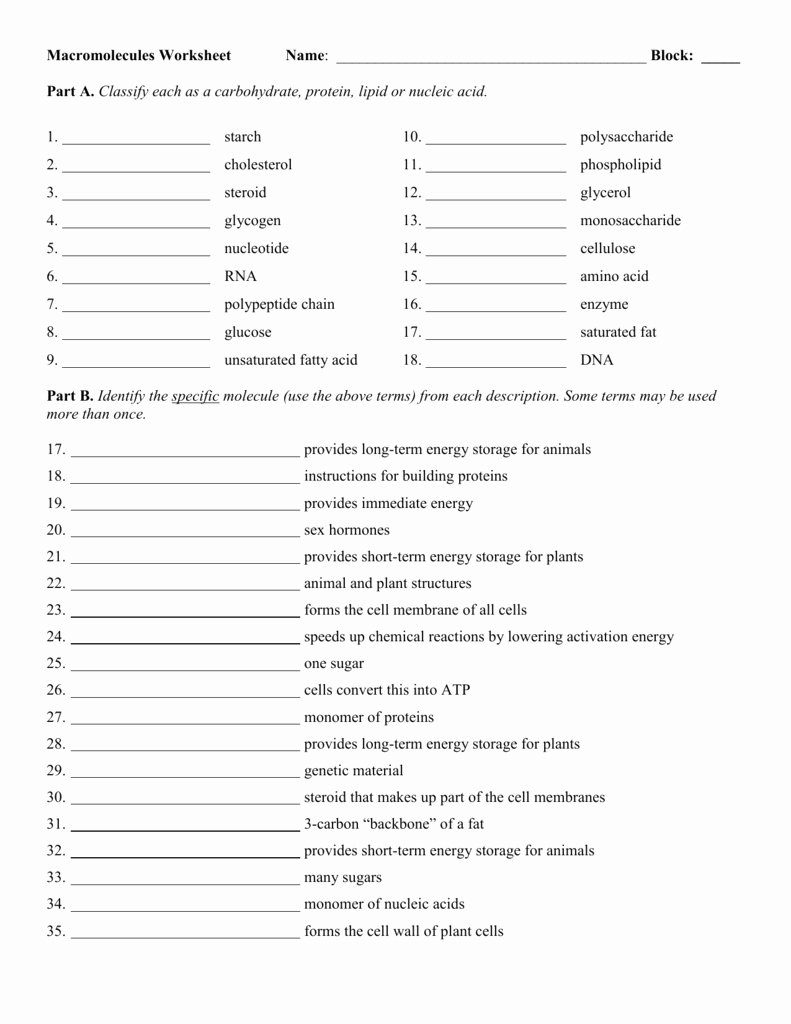 Macromolecules Worksheet #2 Answers Awesome Macromolecules Worksheet 2