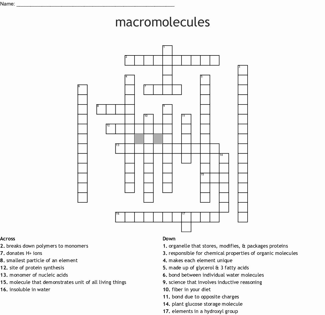 Biological Molecules Macromolecules Worksheet