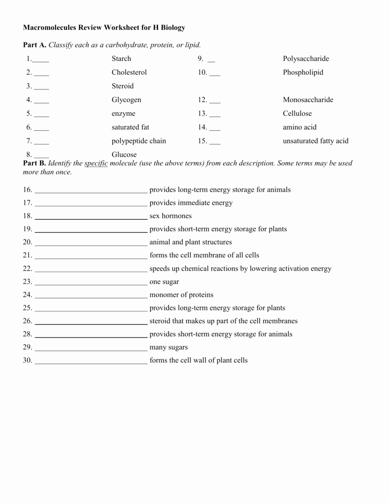 Macromolecules Worksheet #2 Answers Best Of Macromolecules Worksheet 2