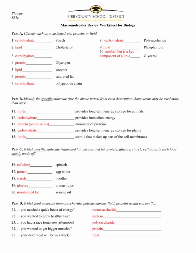 Macromolecules Worksheet #2 Answers Best Of Macromolecules Worksheet Answers