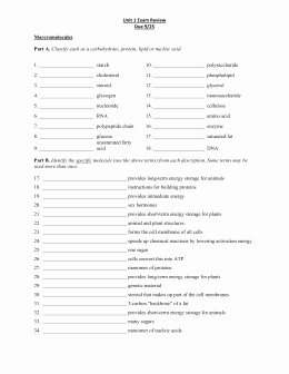 Macromolecules Worksheet #2 Answers Elegant Macromolecules Worksheet 2