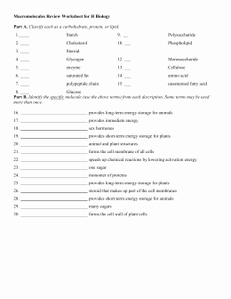 Macromolecules Worksheet Answer Key Best Of Macromolecules Worksheet 2