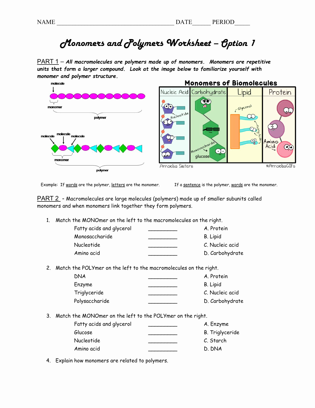 Macromolecules Worksheet Answer Key Fresh Amoeba Sisters Enzymes Worksheet Key