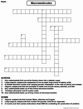 Macromolecules Worksheet Answer Key Fresh Macromolecules Worksheet Crossword Puzzle by Science Spot