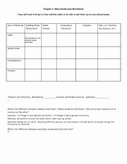 Macromolecules Worksheet High School Beautiful Nutrition Labels List Values for Protein Fat and