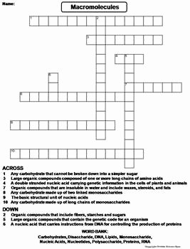 Macromolecules Worksheet High School Fresh Macromolecules Worksheet Crossword Puzzle by Science Spot