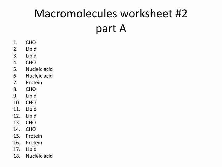Macromolecules Worksheet High School Unique Macromolecules Worksheet