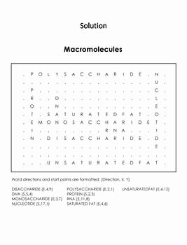 Macromolecules Worksheet High School Unique Macromolecules Worksheet Word Search by Science Spot
