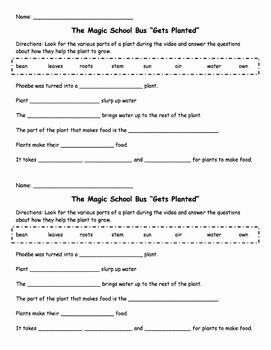 Magic School Bus Worksheet Best Of the Magic School Bus Gets Planted Video Questions by