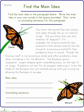 Main Idea Worksheet 5 Beautiful Find the Main Idea Viceroy butterfly