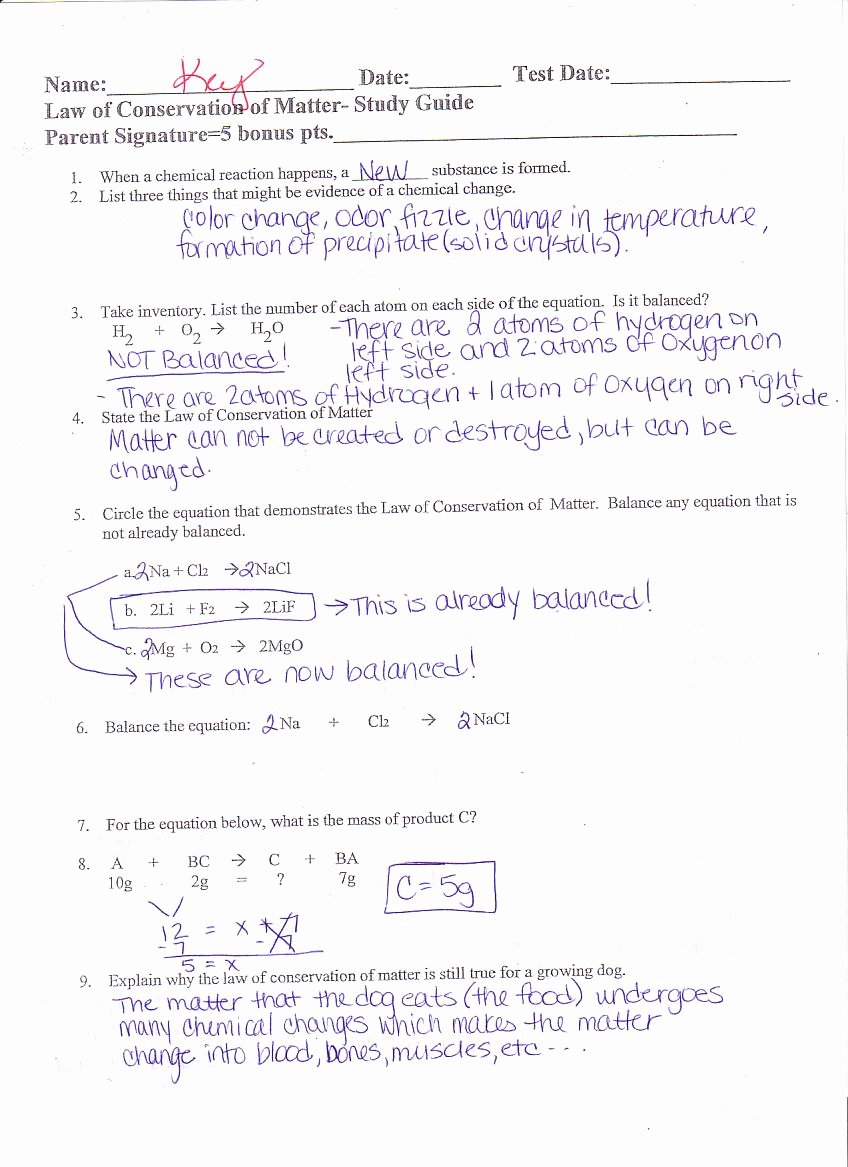 Matter and Energy Worksheet Awesome Worksheet Law Conservation Mass Worksheet Grass