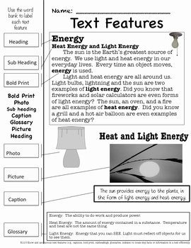 Matter and Energy Worksheet New 2nd Grade Physical Science Bundle Heat Light sound