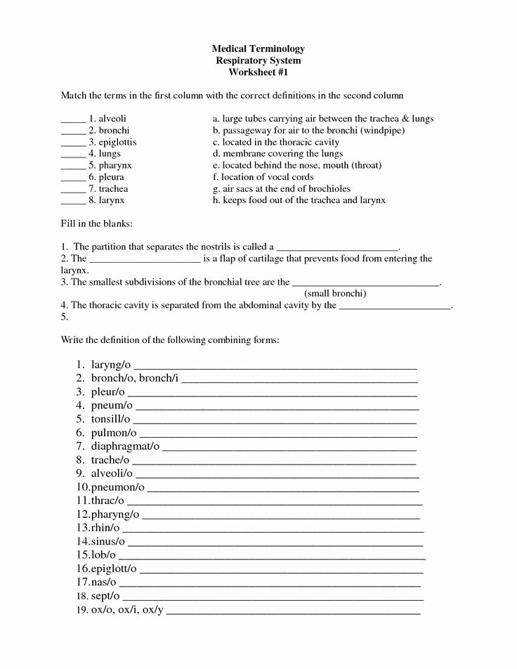 Medical Terminology Abbreviations Worksheet Elegant 23 Beautiful Medical Terminology Worksheet