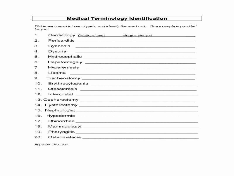 Medical Terminology Abbreviations Worksheet Luxury Medical Terminology Worksheet