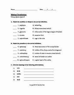 Medical Terminology Abbreviations Worksheet New 1000 Images About Medical Terminology On Pinterest