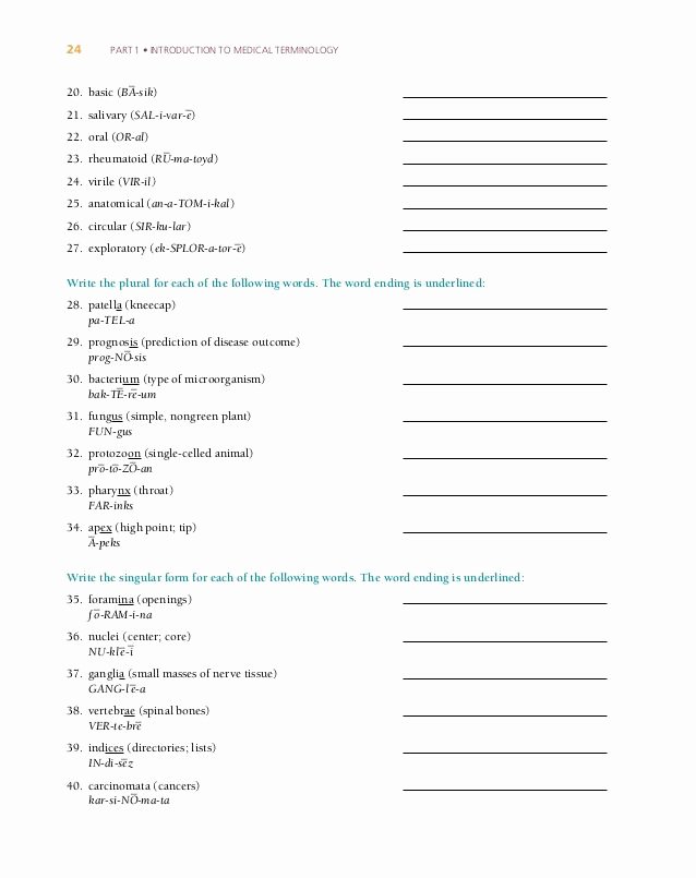 Medical Terminology Prefixes Worksheet Beautiful Medical Terminology Prefixes Worksheet